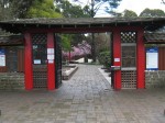 Auburn Botanic Garden Japanese Garden Sakura Festival 2012 by Benedict Ernst