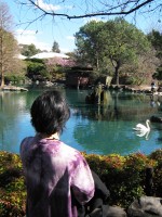 Auburn Botanic Garden Japanese Garden Sakura Festival 2012 by Benedict Ernst