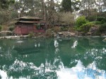 Auburn Botanic Garden Japanese Garden Sakura Festival 2012 by Benedict Ernst