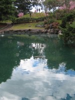 Auburn Botanic Garden Japanese Garden Sakura Festival 2012 by Benedict Ernst